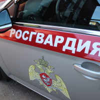 В Тольятти сотрудники Росгвардии обеспечили безопасность матча КХЛ