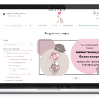 Продвижение Шары на заказ — Кейс по SEO