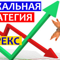 Зарабатываю на форекс ЗЕРКАЛЬНОЙ стратегией. Как это?