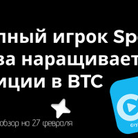 Крупный игрок Spoofy снова наращивает позиции в BTC | CryptoSales.PRO на SPARK