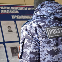 В Зеленодольске сотрудники Росгвардии задержали мужчину, находящегося в федеральном розыске