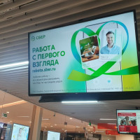 Как привлекать молодых специалистов с помощью кадровой рекламы?