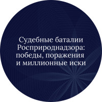 Судебные баталии Росприроднадзора: победы, поражения и миллионные иски