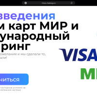 Международный эквайринг и прием по картам МИР в Platega