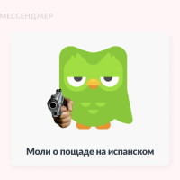Как сделать изучение языков доступным и заработать на этом $10 миллиардов: история успеха Duolingo