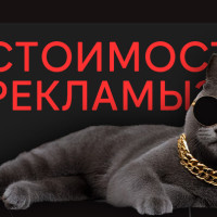 Реклама в digital стала дороже/дешевле. Почему?