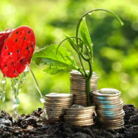 Как искать инвесторов: пошаговое руководство для предпринимателей, стремящихся к росту