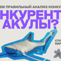 Анализируем конкурентов-акул: ключ к выживанию в бизнес-джунглях