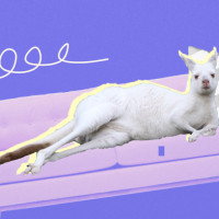 Лень VS Прокрастинация: почему мы откладываем дела на самом деле