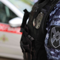 В Набережных Челнах сотрудники Росгвардии задержали подозреваемых в кражах из торгового центра