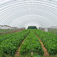 Виды полиэтиленовой пленки: особенности, преимущества и сферы применения