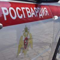 В Зеленодольске росгвардейцы совместно с полицейскими задержали  подозреваемого в краже и грабеже из магазинов