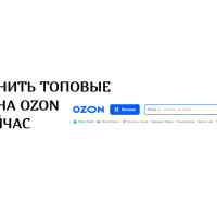 Как сохранить топовые позиции на Ozon прямо сейчас