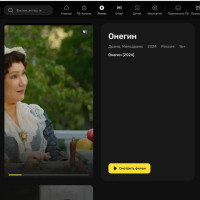 Premier внедрил в веб-версию подобие TikTok