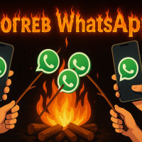 ТОП-5 сервисов прогрева WhatsApp аккаунтов