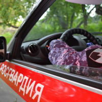 За минувшие выходные дни сотрудники Росгвардии 7 раз выезжали на помощь к омским медикам