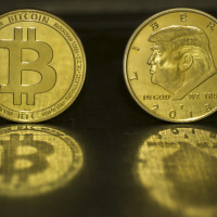 Держатели 24 цифровых кошельков заработали $100 млн на покупке мемкоина Мелании Трамп до его публичного запуска &mdash; СМИ