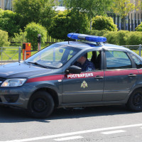 Росгвардейцы задержали тольяттинца, подозреваемого в краже более четверти миллиона рублей