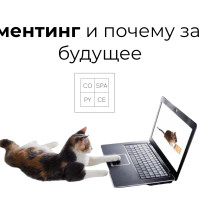 Коментинг и почему за ним будущее
