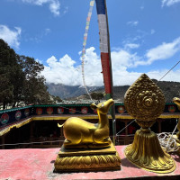 Испытание высотой: директор ЧЗЭО Алексей Камынин о путешествии к базовому лагерю Эвереста