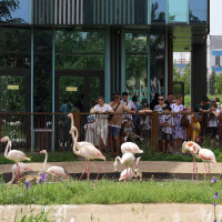 В рамках акции «Росгвардия на страже детства» для детей росгвардейцев организовали посещение казанского зоопарка