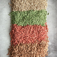 Кот игнорирует лоток — что делать? Причины и решения