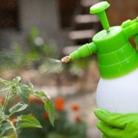 Какие товары помогут дачникам сохранить растения в июне: рекомендации аналитиков