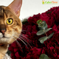 10 самых популярных букетов Cyber Flora: выбор покупателей 2025 года