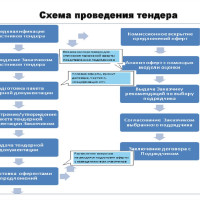 Проведение тендера на предприятии: особенности и риски