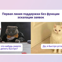 Эскалация заявок в техподдержке: чем она полезна и как правильно ей управлять