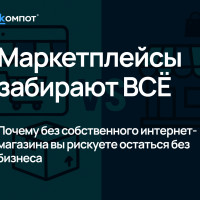 Маркетплейсы VS Собственный интернет-магазин. Кто кого &laquo;выживет&raquo; в 2025 году?