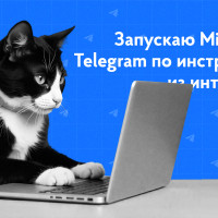Как создать Mini Apps Telegram (Web App): пошаговая инструкция от идеи до деплоя. Примеры кода и мини-приложений