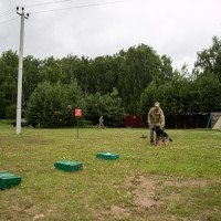 Татарстанские росгвардейцы заняли призовые места в окружном чемпионате по многоборью кинологов