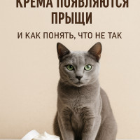 Почему от хорошего крема появляются прыщи (и как понять, что не так)