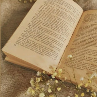 Как начать зарабатывать на книгах