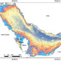Топографическая реальность. Термин “дно рынка” в Эмиратах перестал быть метафорой