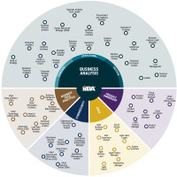 Какие бывают data-профессии по версии Международного института бизнес-анализа IIBA и с чего начать строить карьеру в аналитике?