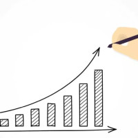Растущий рынок зоотоваров: куда двигается спрос в 2025 году