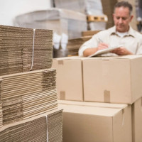 Роль упаковки в восприятии товара: кейсы с рынка зоотоваров