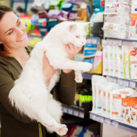 Российские зоотовары на экспорт: барьеры, адаптация и уроки из практики