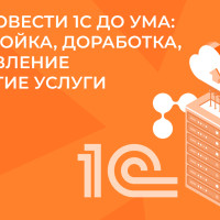 Как довести 1С до ума: настройка, доработка, обновление и другие услуги