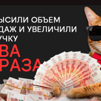 Повысили объем продаж и увеличили выручку в 2 раза: кейс Джум и креоформанс-агентства HunterMob