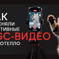 Какие креативы работают лучше: наш опыт продвижения Отелло с помощью UGC-видео