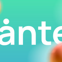 Кадровое агентство Wanted