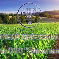 «Дрогичинский крахмальный завод» - филиал ООО «Сельхозинвест»