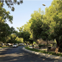 The Gardens — тихий и зелёный район Дубая с удобным расположением и перспективами роста