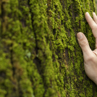Окружающая среда корпоративного обучения: что важно учитывать при организации бизнес-тренингов и тимбилдингов?
