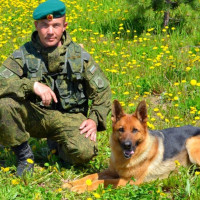 Засыпать быстро = притормозить реакцию организма на стресс