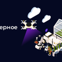 «Камера вместо прогулки»: как компьютерное зрение меняет инспекции в сельском хозяйстве и строительстве