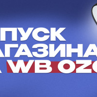 Как продавать на Озон и ВБ с нуля: запуск и ведение магазина